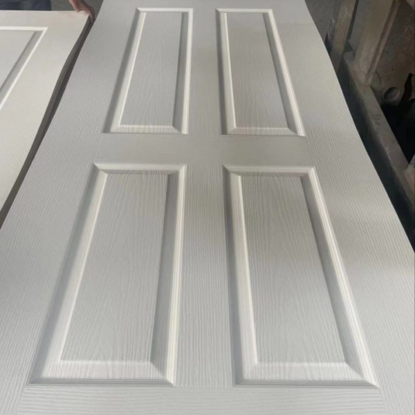 图片21 Door Skin