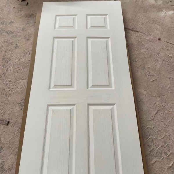 图片22 Door Skin