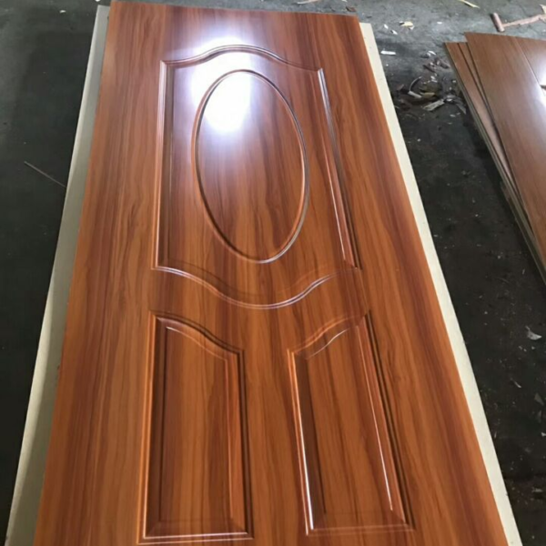 图片24 Door Skin